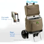 اکسیژن ساز پرتابل فیلیپس مدل SimplyGo - تصویر 19
