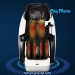 صندلی ماساژور فوجی زنیت مد مدل FJ-889L - تصویر 11