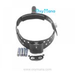 چراغ پیشانی ریشتر Ri-focus مدل 6091 - تصویر 4