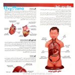 مولاژ نیم تنه انسان 8 تکه عروسکی - تصویر 12