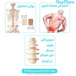 کمربند طبی اسپاینومد اورتینو - تصویر 14